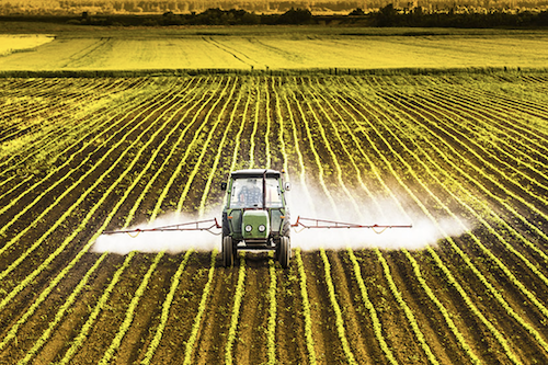 Romane rdt porn petites caresses sur le torse, les épaules