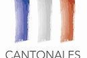 Cantonales : l’échec du Front national