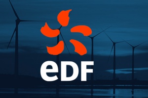 EDF: pourquoi s'entêter sur Hercule?