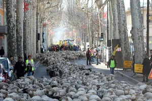 La crise agricole épingle la fausse route de la lutte contre le réchauffement climatique