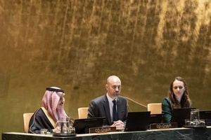 Reconnaître la Palestine?