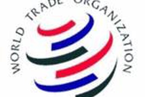 OMC : la percée Falconer