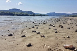 Danube
